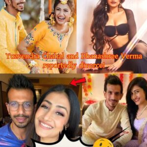 Dhanashree Verma-Yuzvendra Chahal Divorce: Who Is Behind This Divorce, Social Meadia Find Culprit