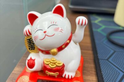 The Fascinating World of Maneki-Neko: The Iconic Lucky Cat Explained