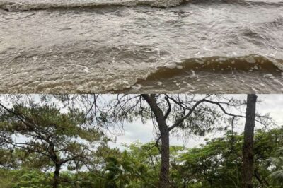 Exploring the Famous Rivers of the United States: A Journey Through History, Nature, and Culture